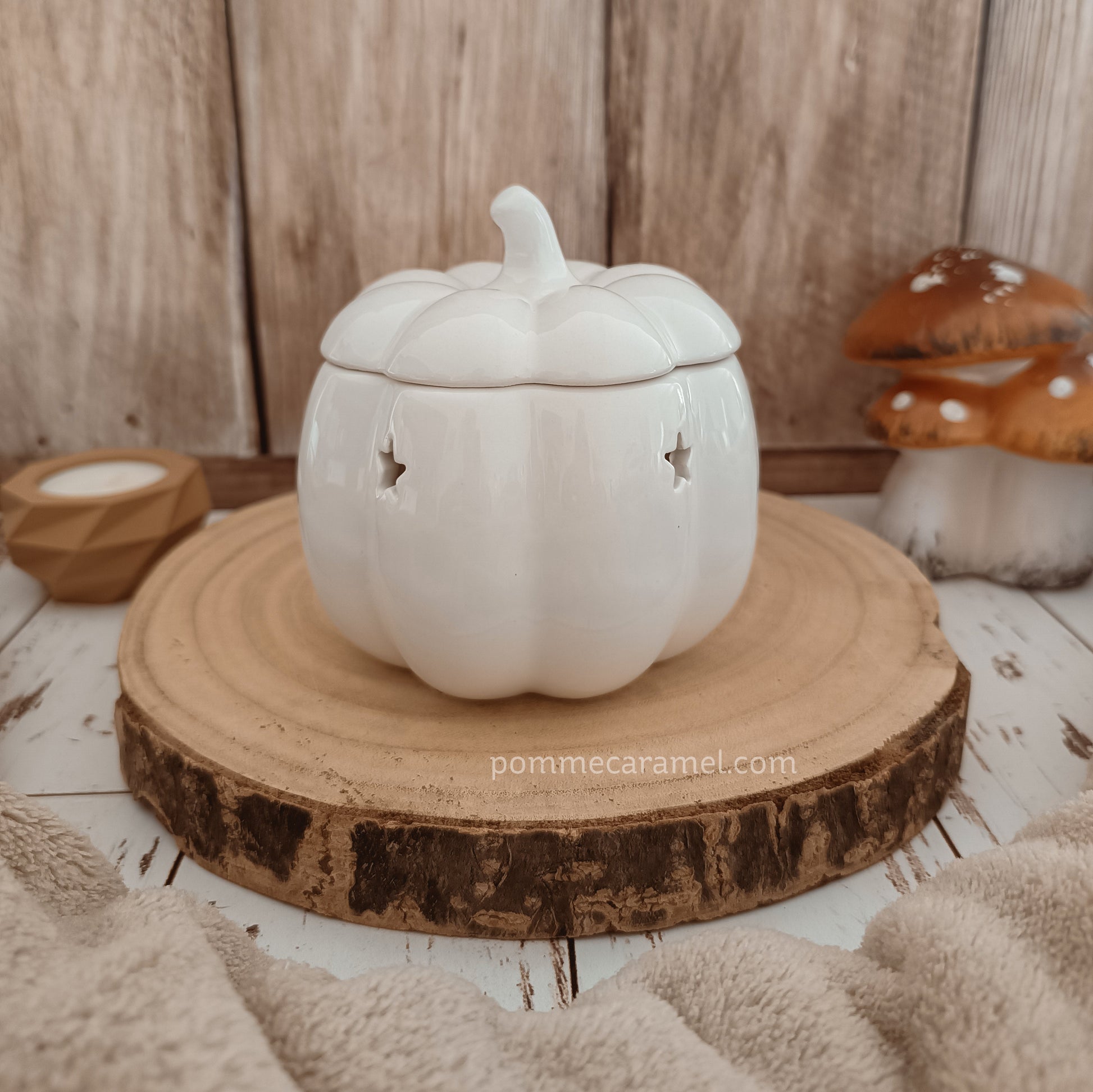 Brûle Parfum Citrouille Blanche Something Different Wholesale