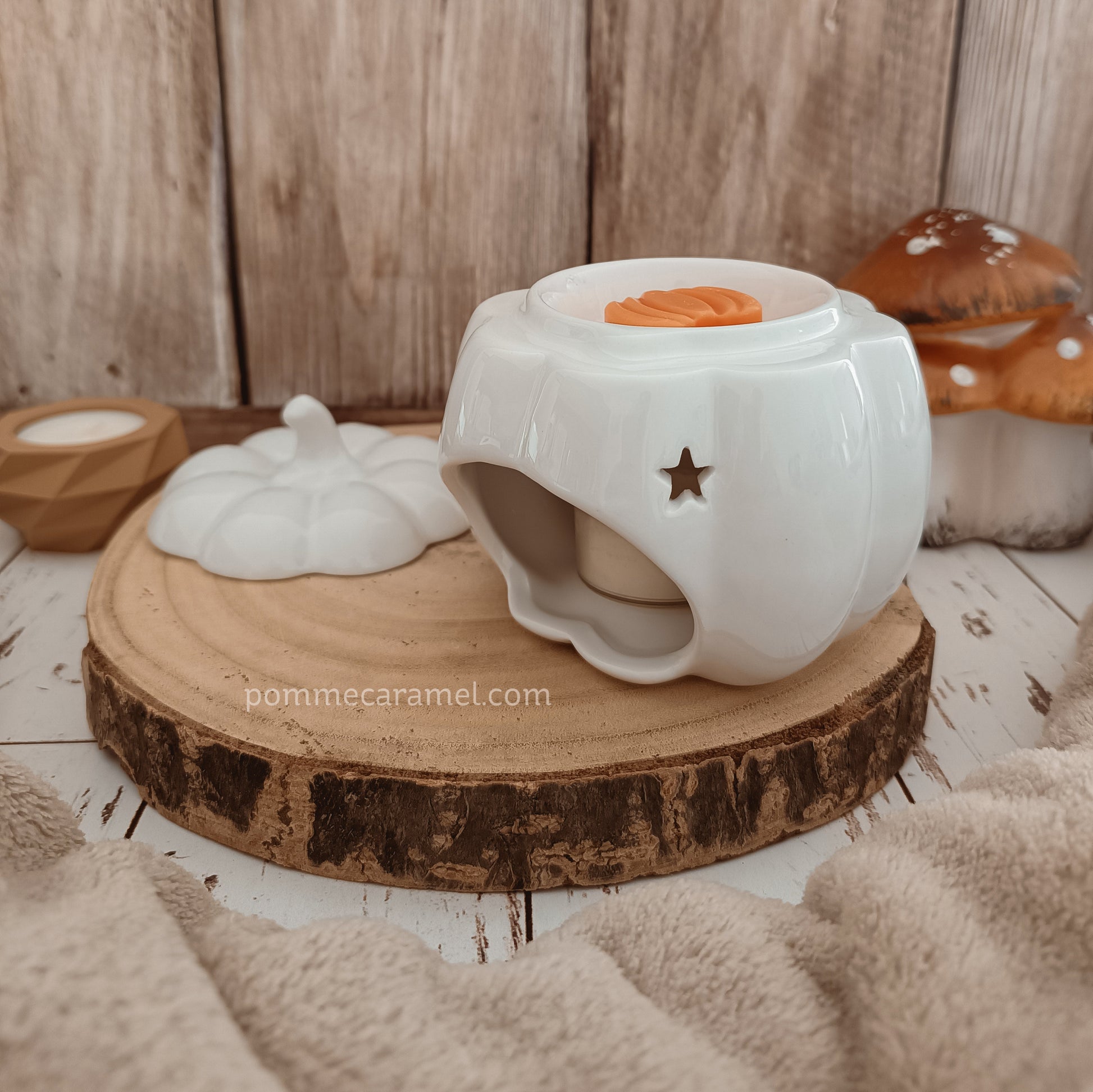 Brûle Parfum Citrouille Blanche Something Different Wholesale