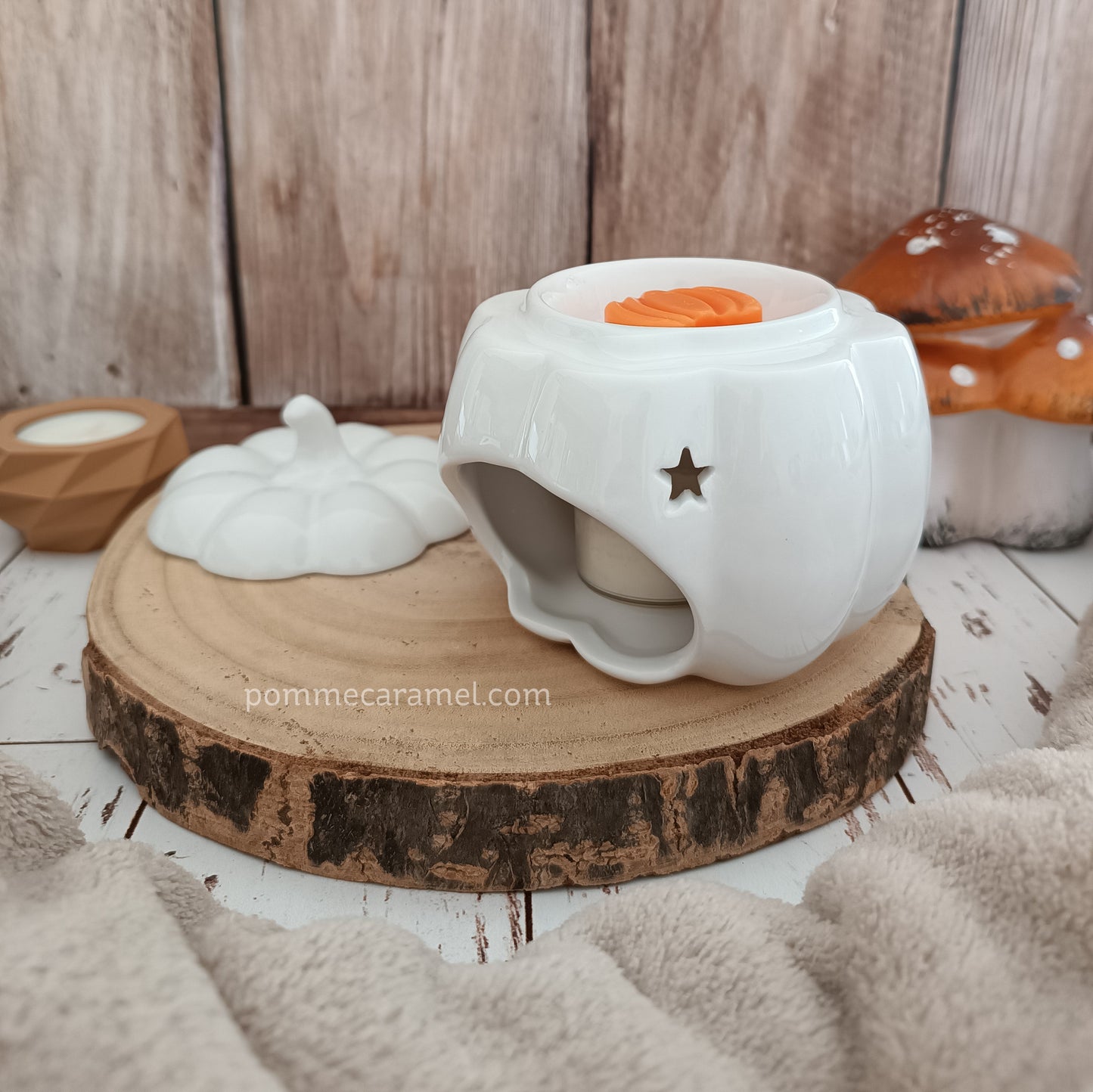 Brûle Parfum Citrouille Blanche Something Different Wholesale