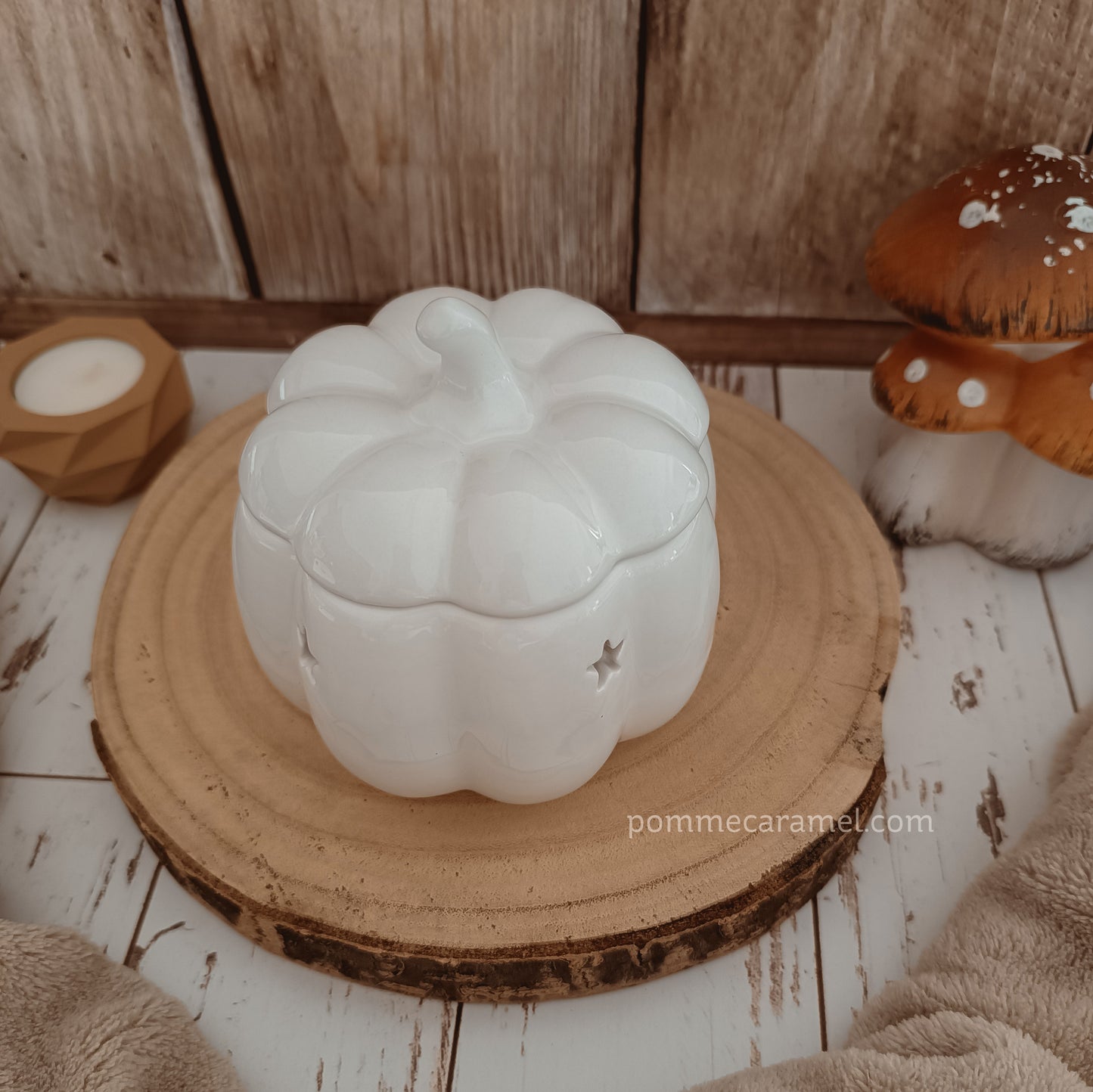 Brûle Parfum Citrouille Blanche Something Different Wholesale