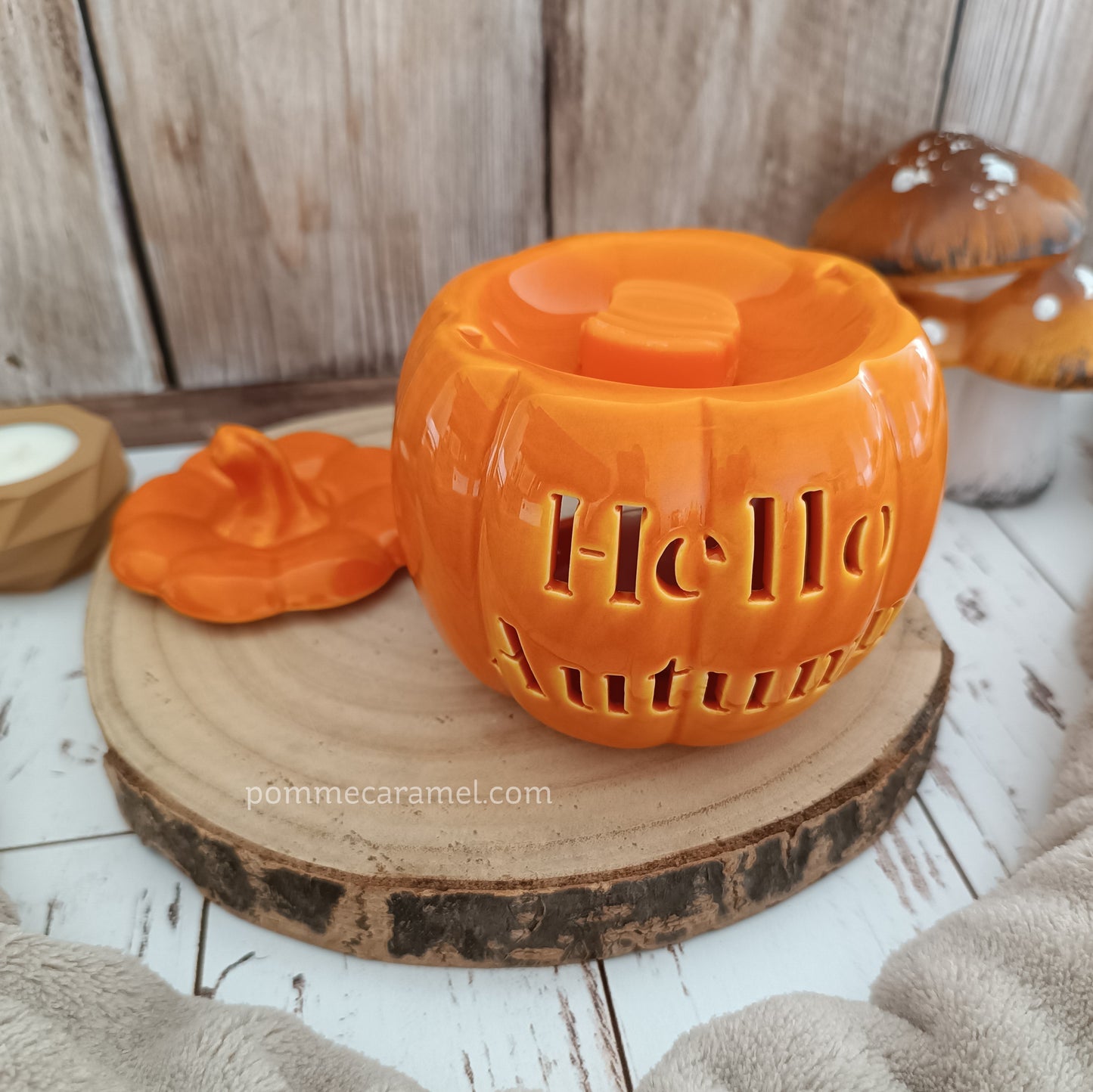 Brûle Parfum Citrouille Orange Something Different Wholesale