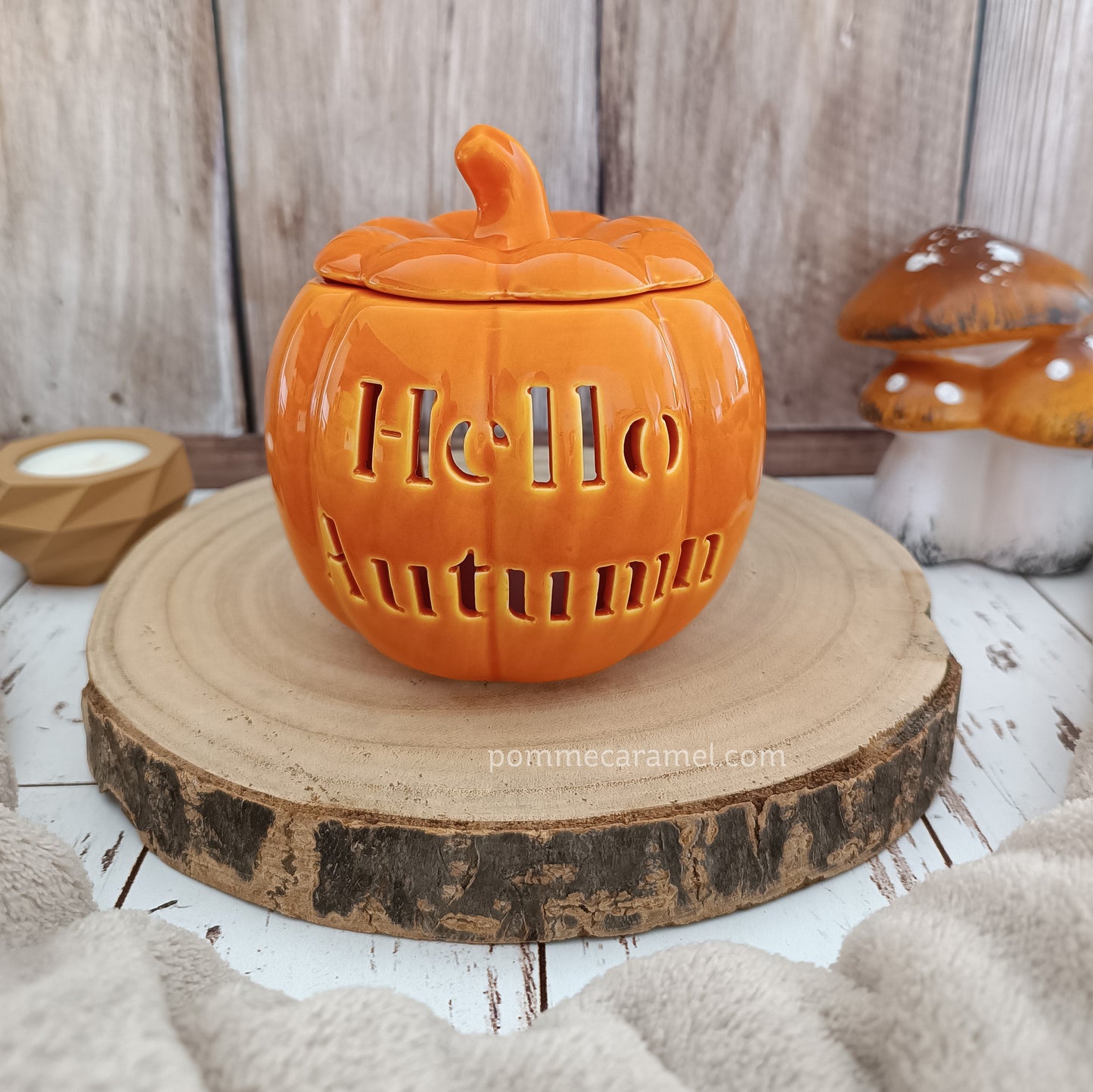 Brûle Parfum Citrouille Orange Something Different Wholesale