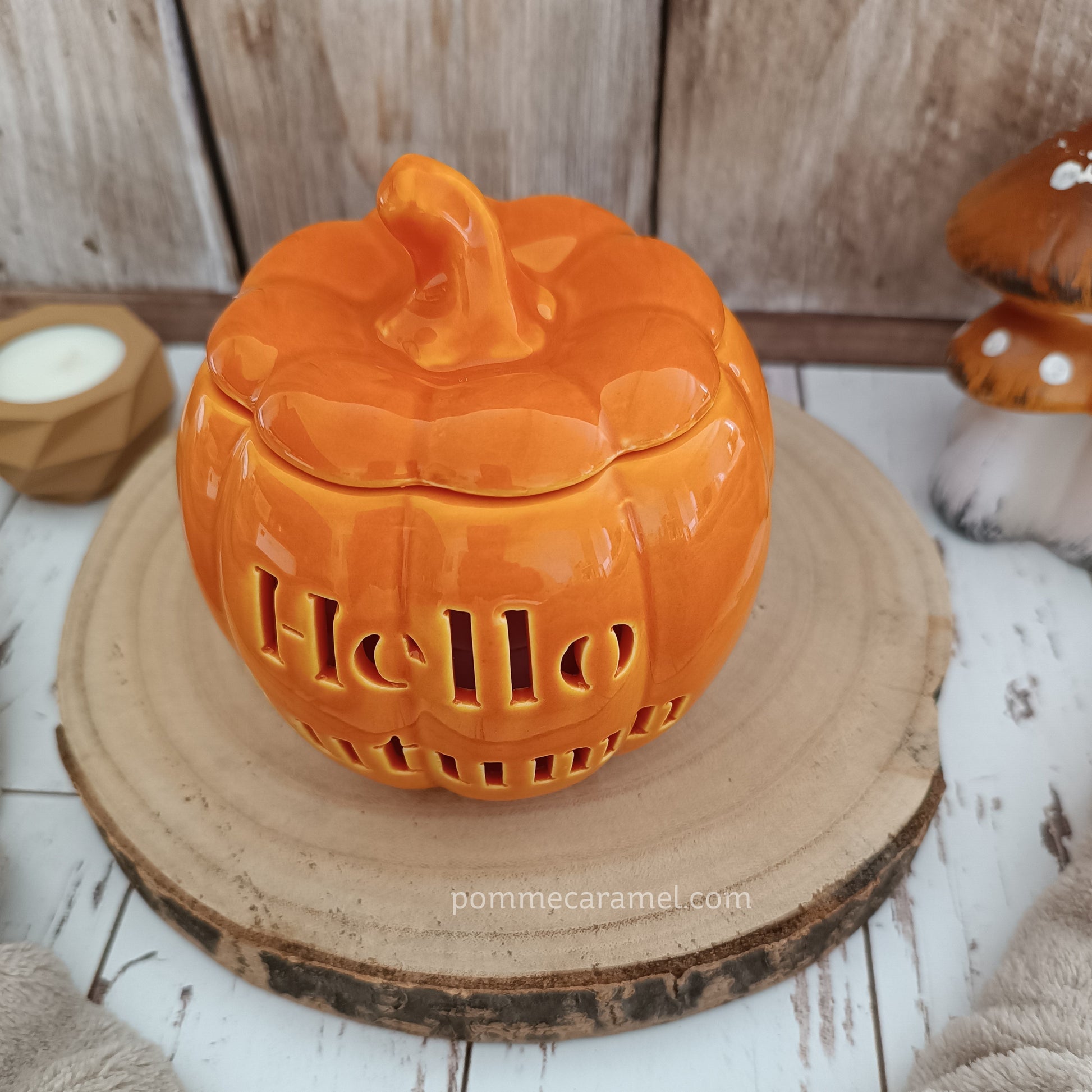 Brûle Parfum Citrouille Orange Something Different Wholesale