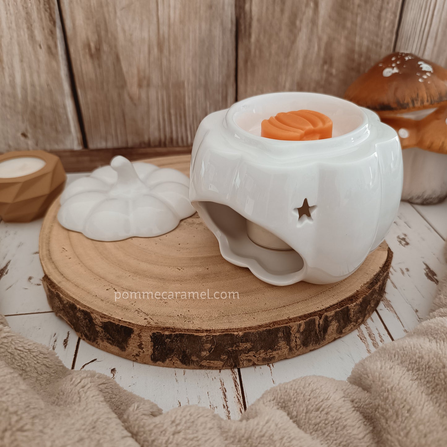 Brûle Parfum Citrouille Blanche Something Different Wholesale