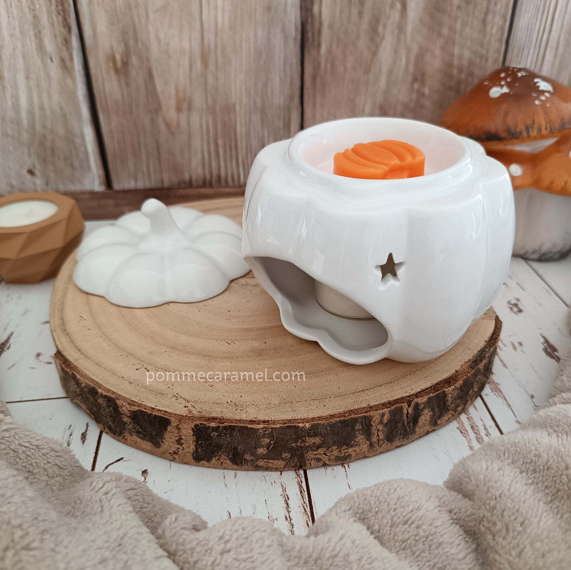 Brûle Parfum Citrouille Blanche Something Different Wholesale