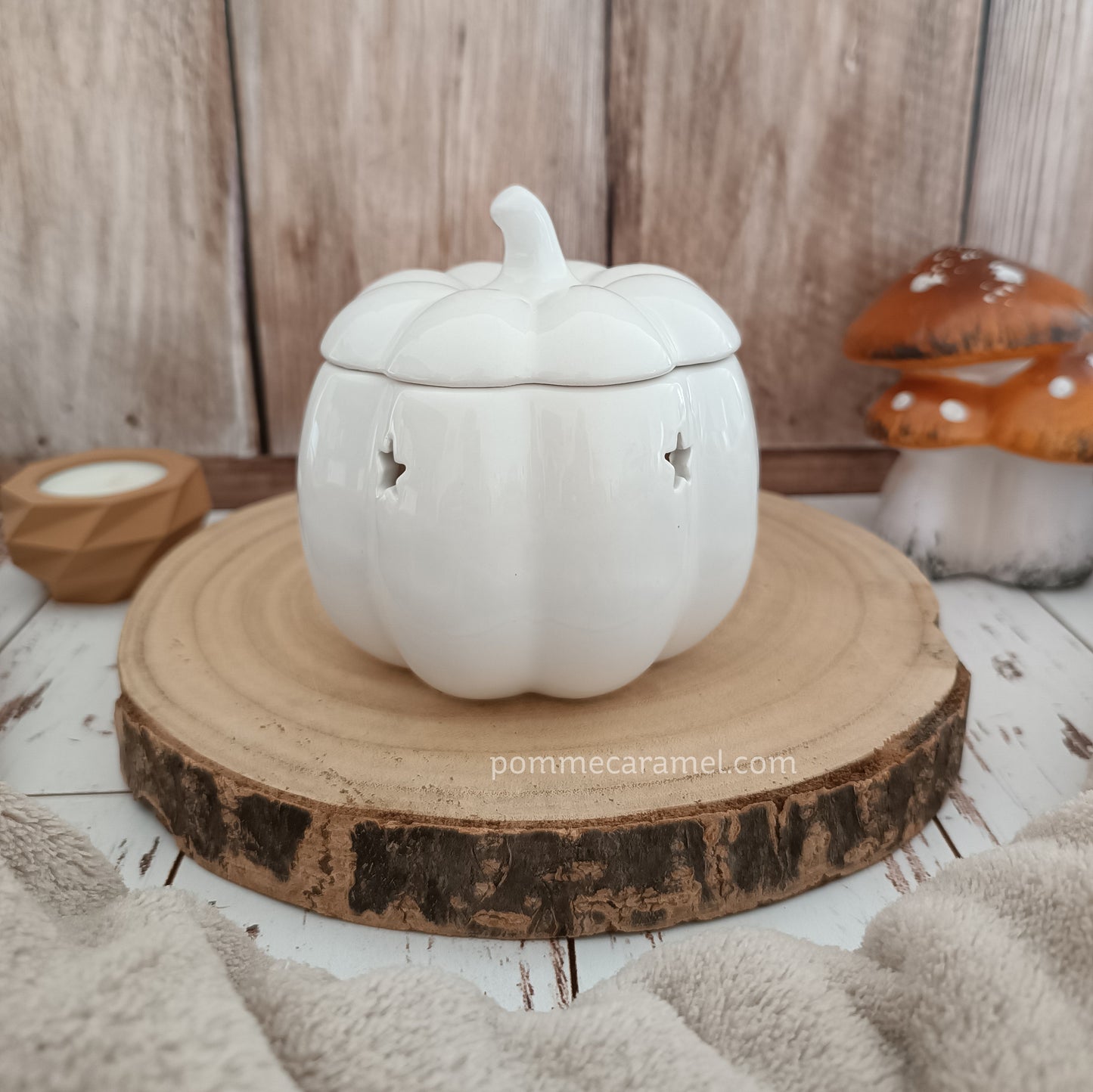 Brûle Parfum Citrouille Blanche Something Different Wholesale