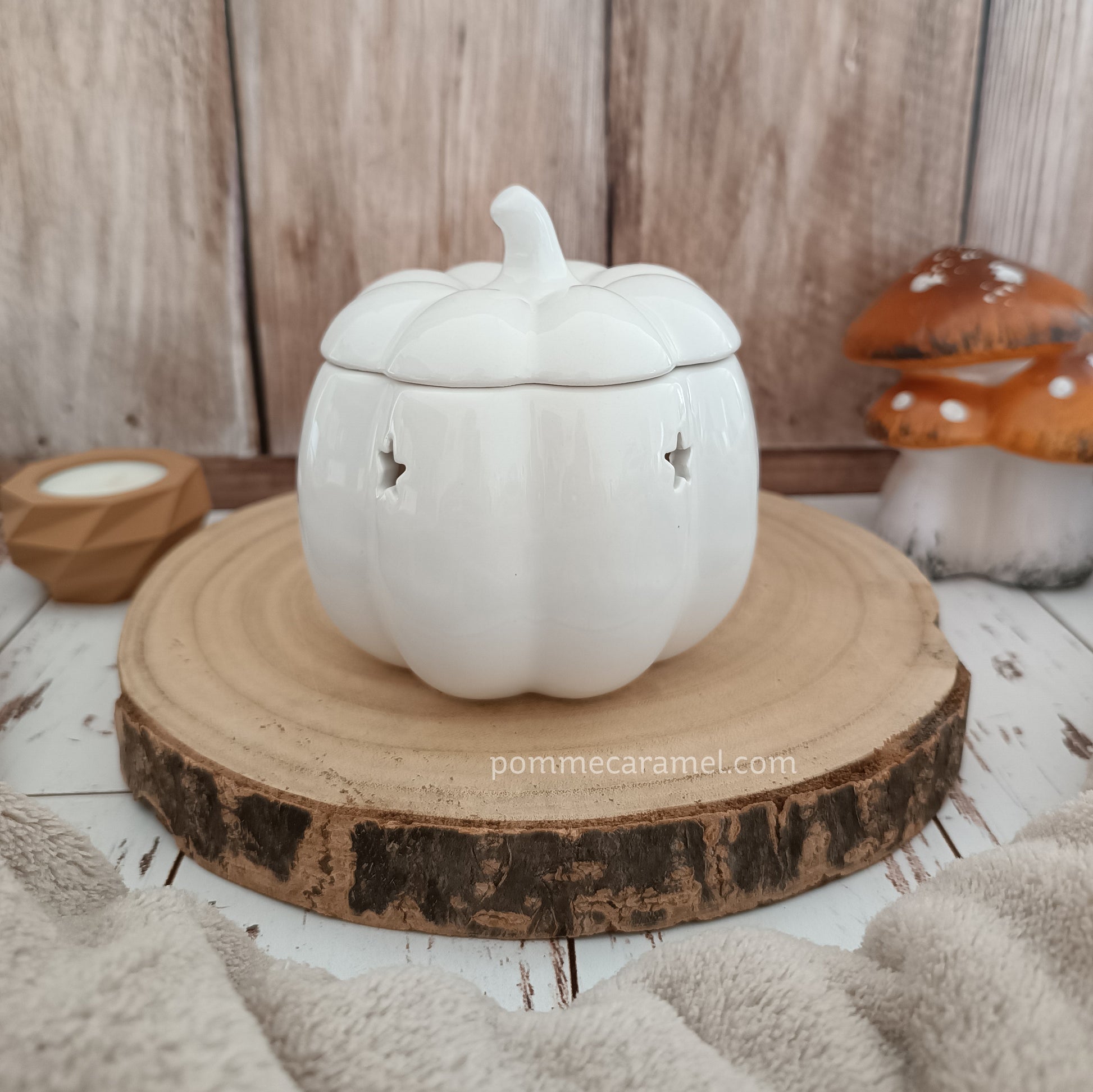 Brûle Parfum Citrouille Blanche Something Different Wholesale