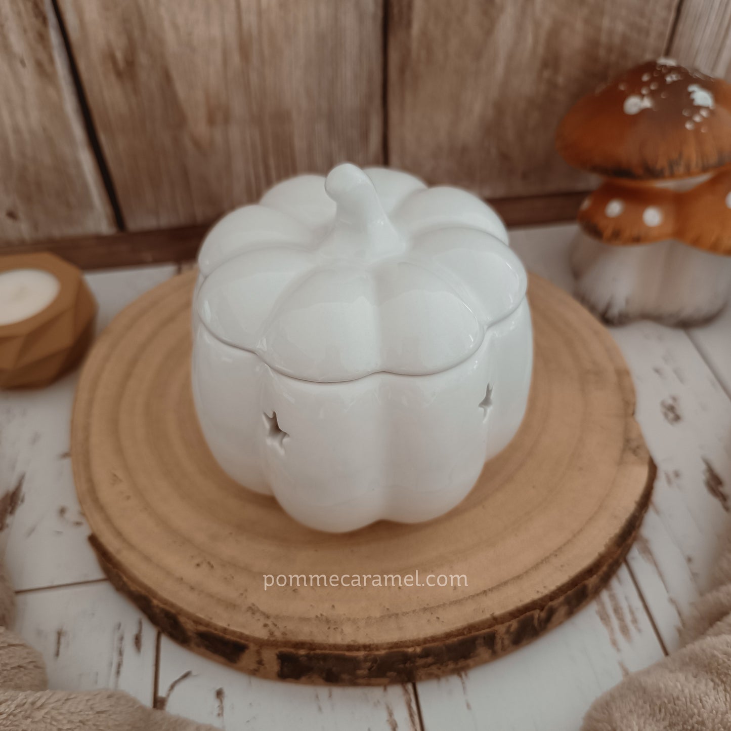 Brûle Parfum Citrouille Blanche Something Different Wholesale