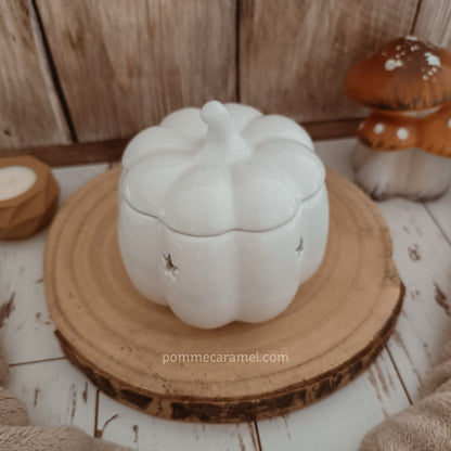 Brûle Parfum Citrouille Blanche Something Different Wholesale