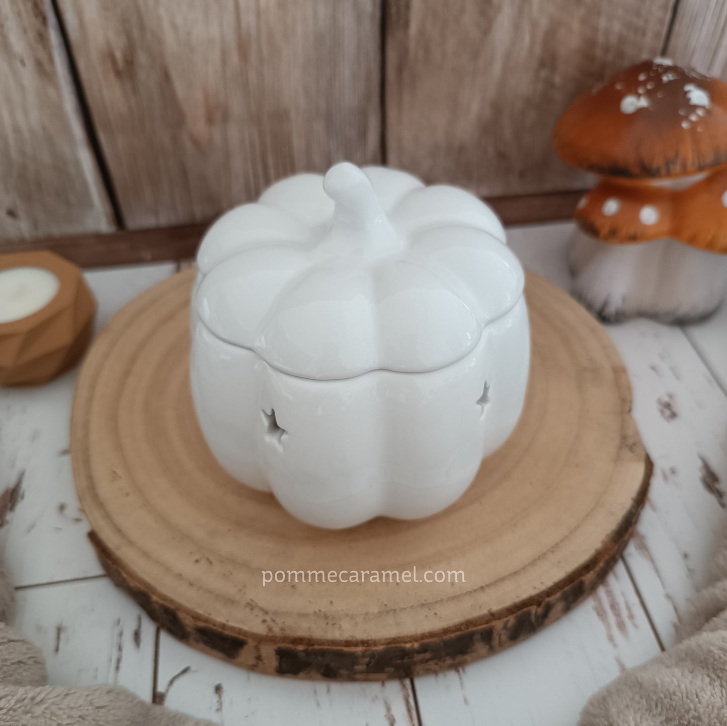 Brûle Parfum Citrouille Blanche Something Different Wholesale