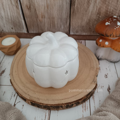 Brûle Parfum Citrouille Blanche Something Different Wholesale