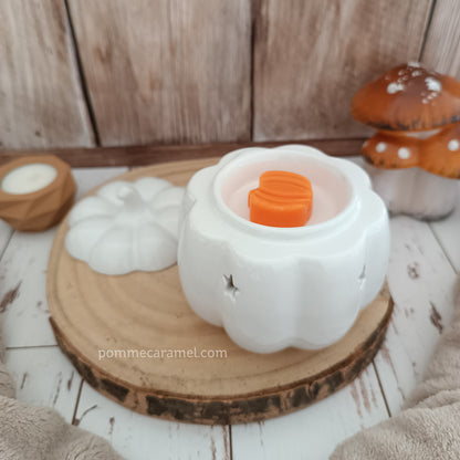 Brûle Parfum Citrouille Blanche Something Different Wholesale