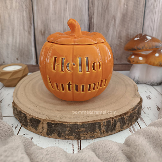 Brûle Parfum Citrouille Orange Something Different Wholesale