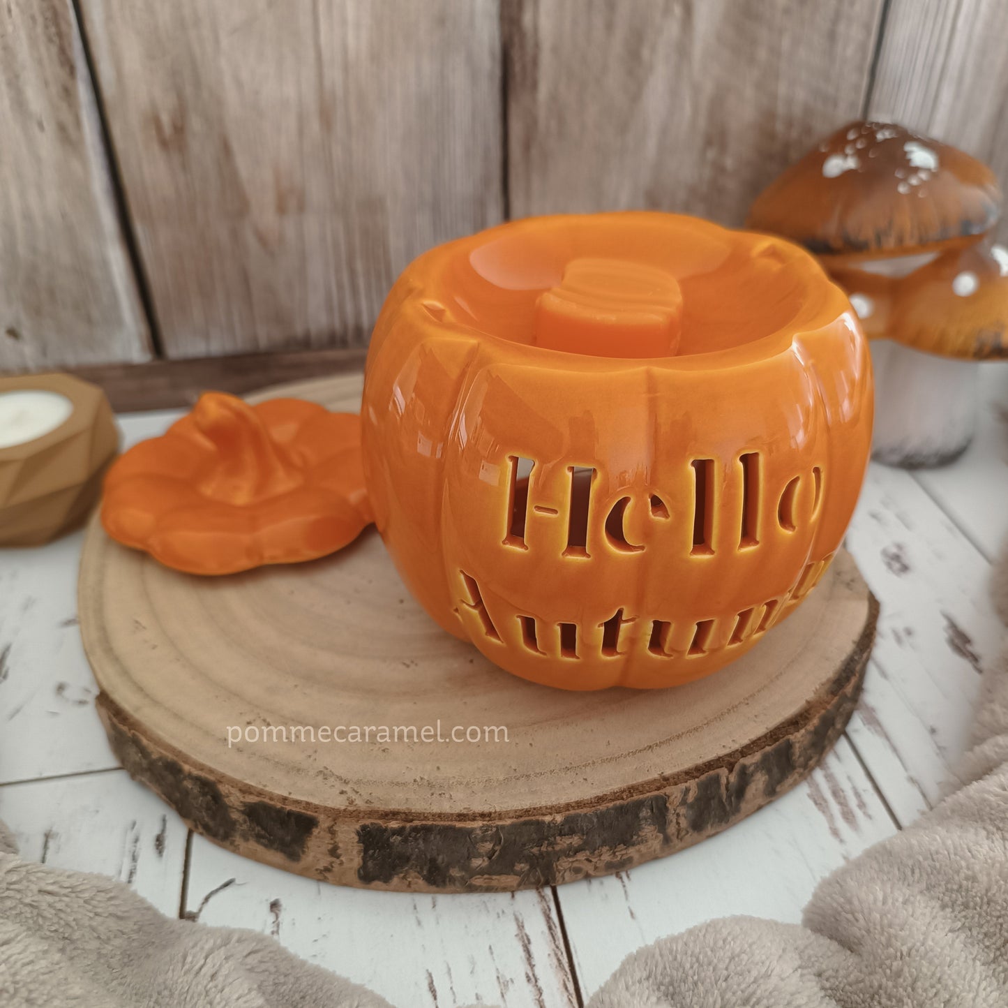 Brûle Parfum Citrouille Orange Something Different Wholesale