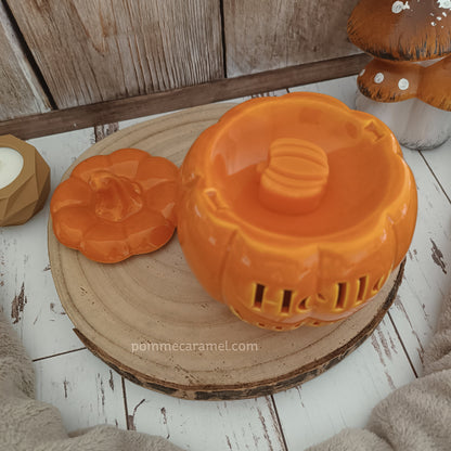 Brûle Parfum Citrouille Orange Something Different Wholesale