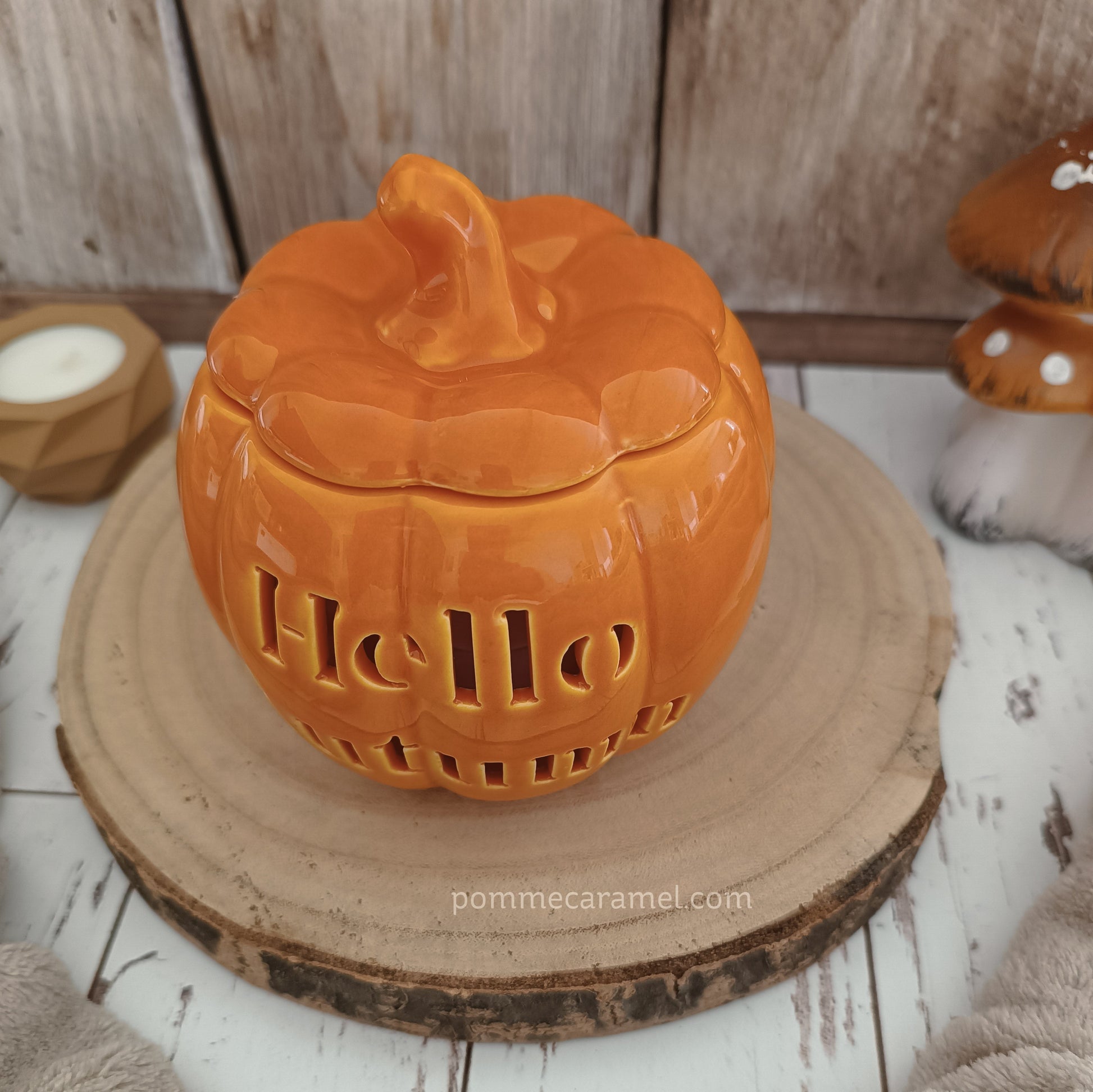 Brûle Parfum Citrouille Orange Something Different Wholesale