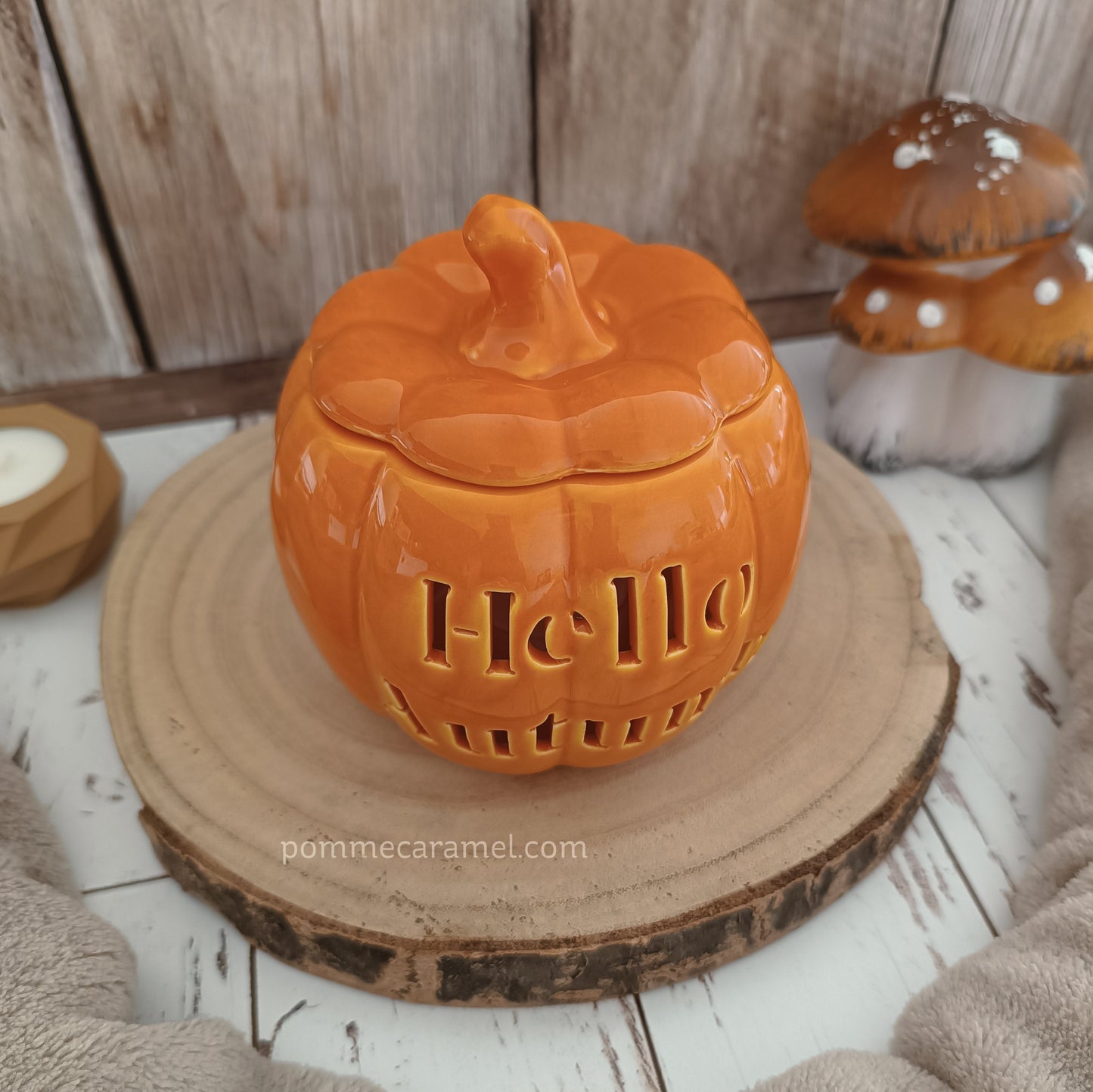 Brûle Parfum Citrouille Orange Something Different Wholesale