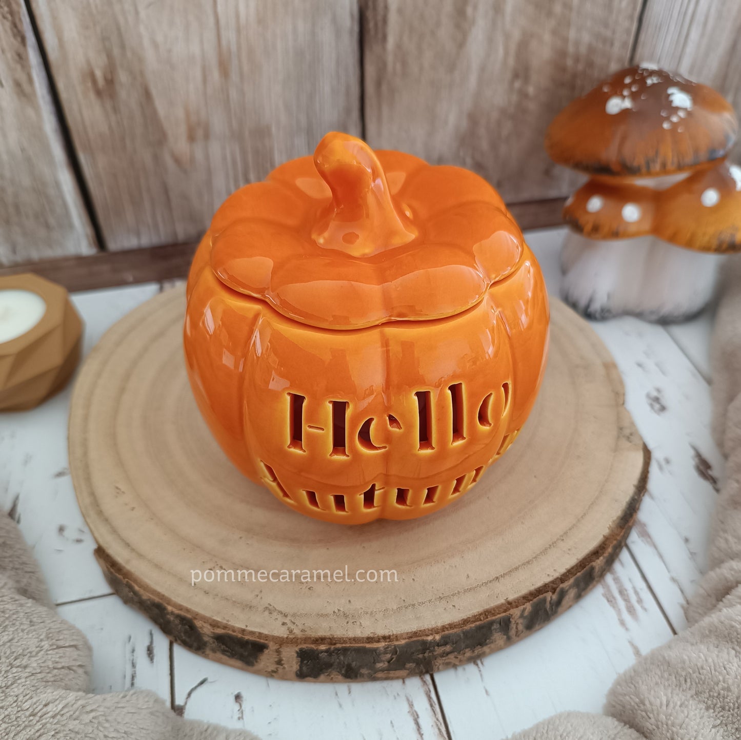 Brûle Parfum Citrouille Orange Something Different Wholesale