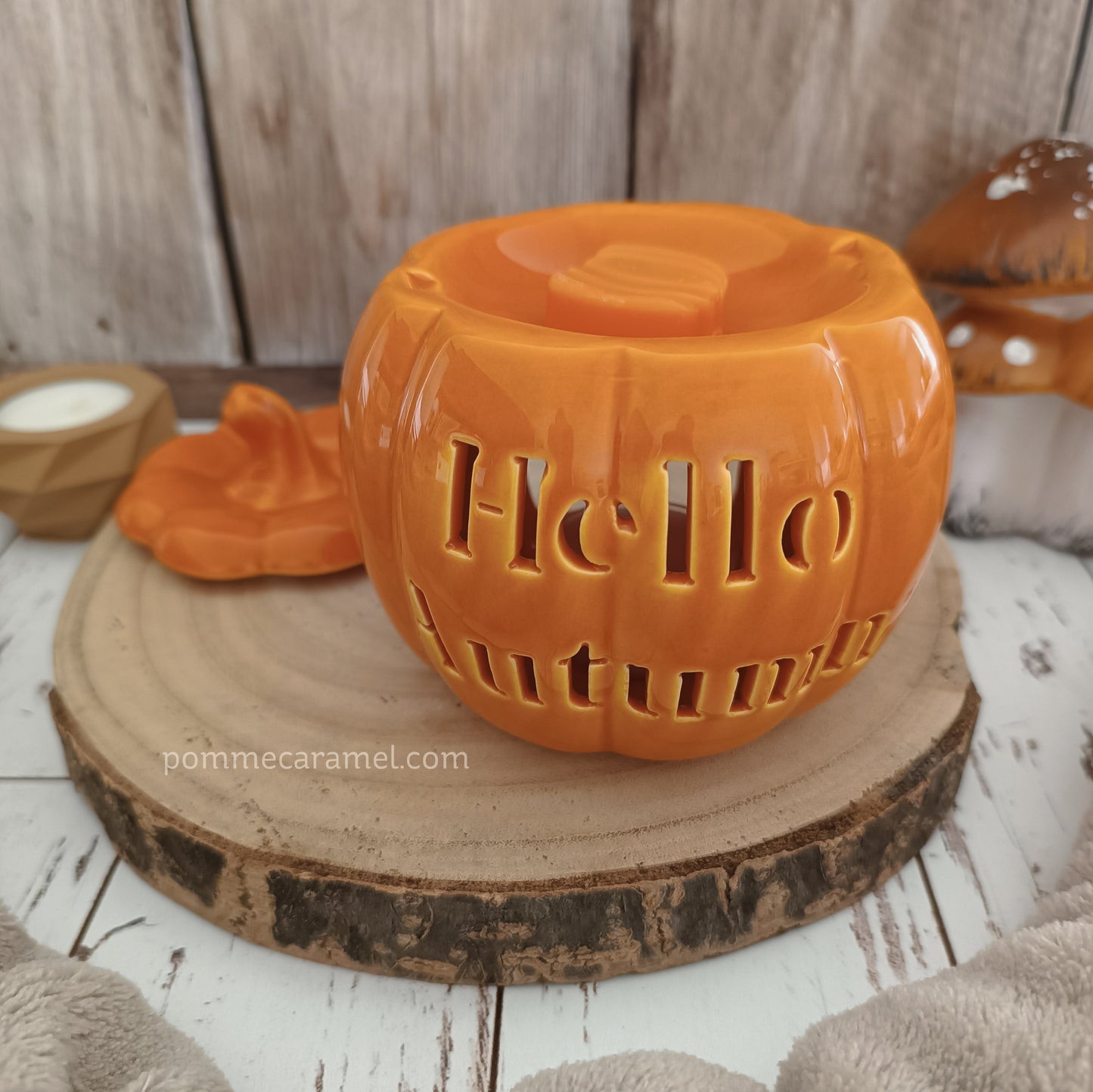 Brûle Parfum Citrouille Orange Something Different Wholesale