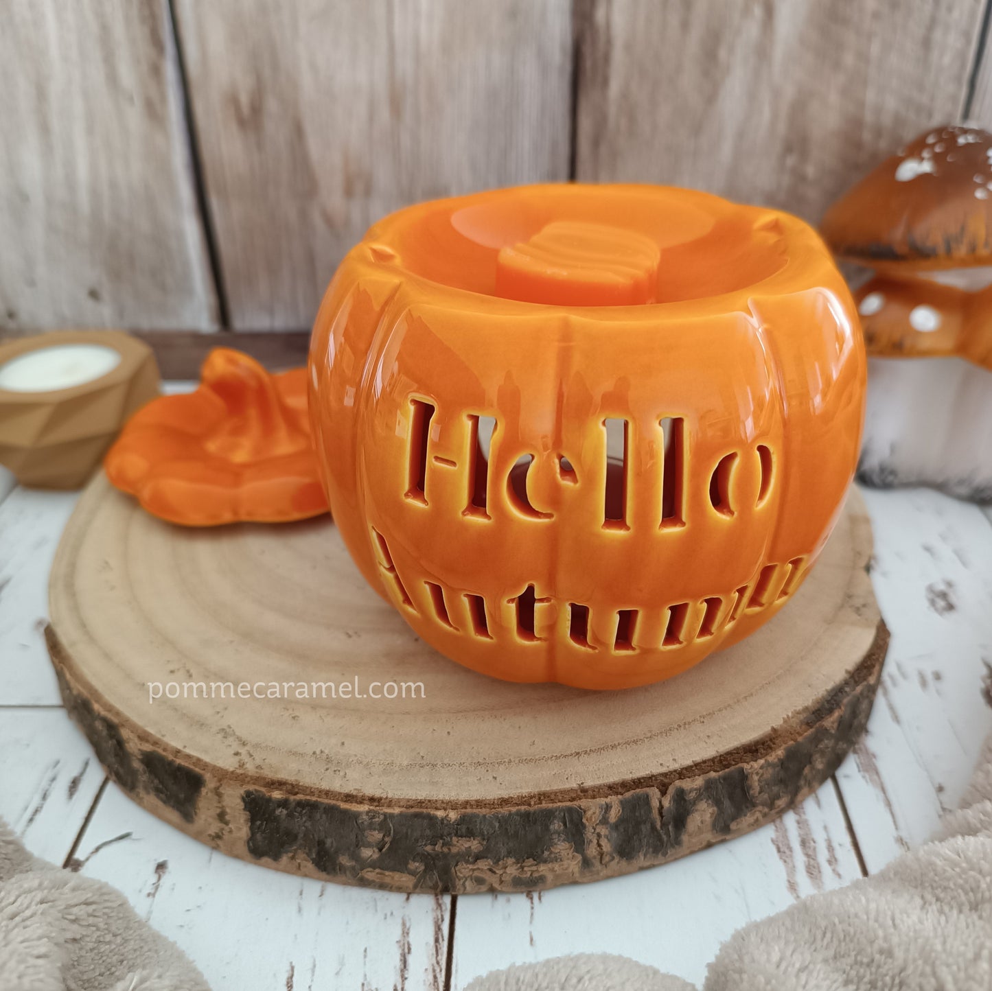 Brûle Parfum Citrouille Orange Something Different Wholesale