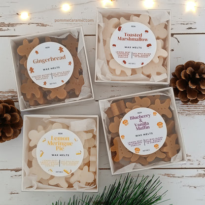 Fondants parfumés bonhommes pain d'épices senteurs de Noël Rein