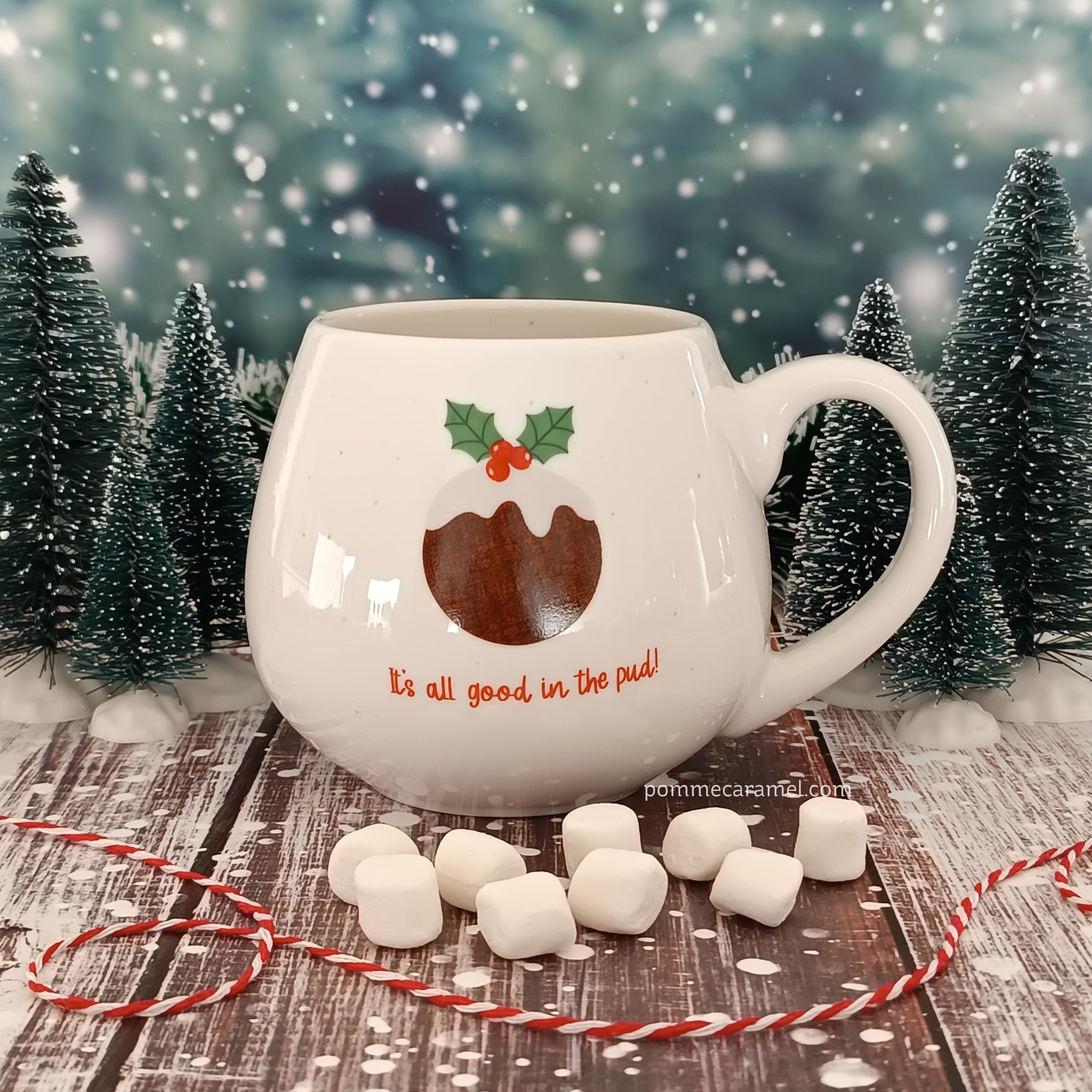Mug Pudding de Noël Something Different Wholesale