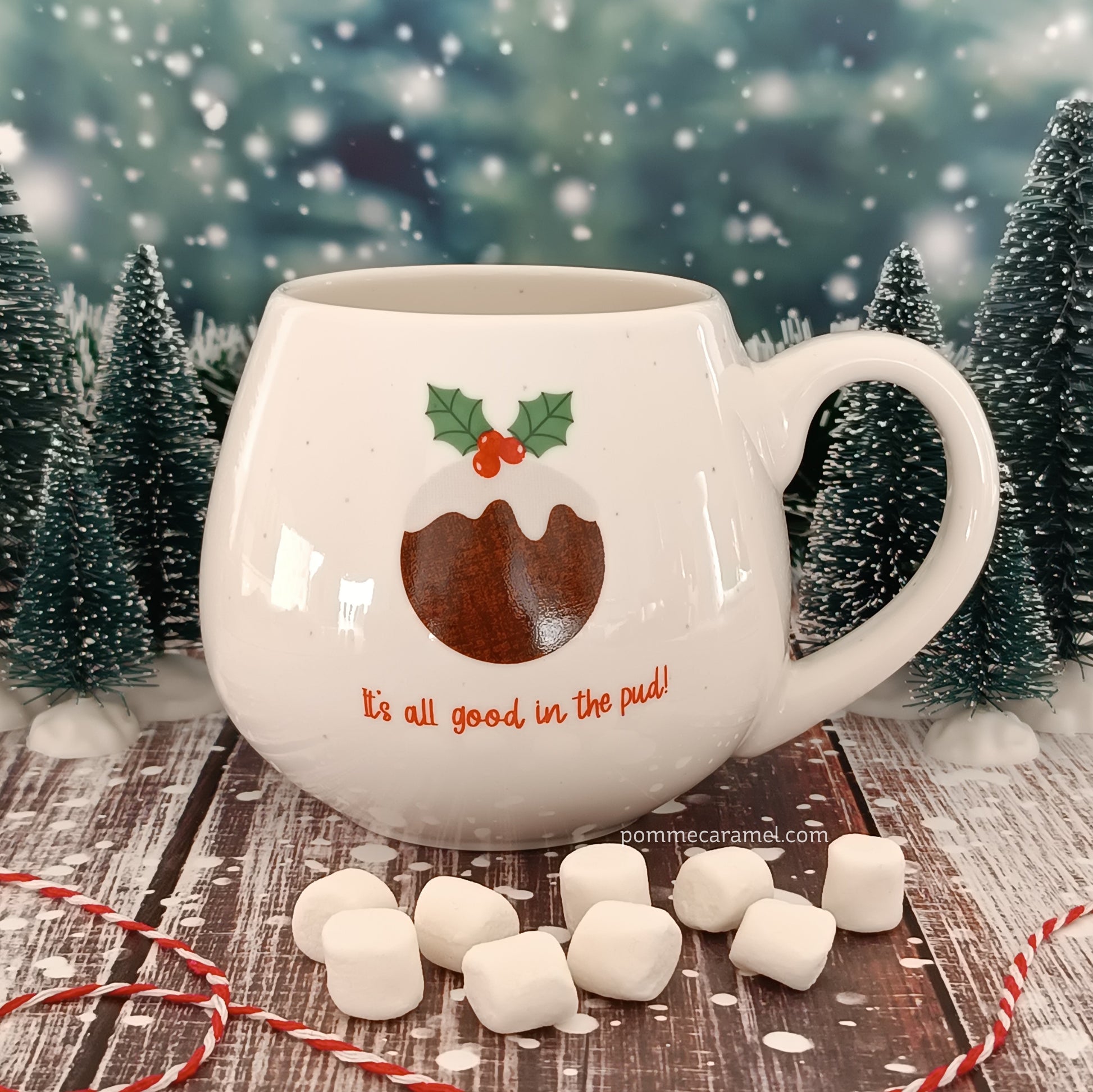 Mug Pudding de Noël Something Different Wholesale