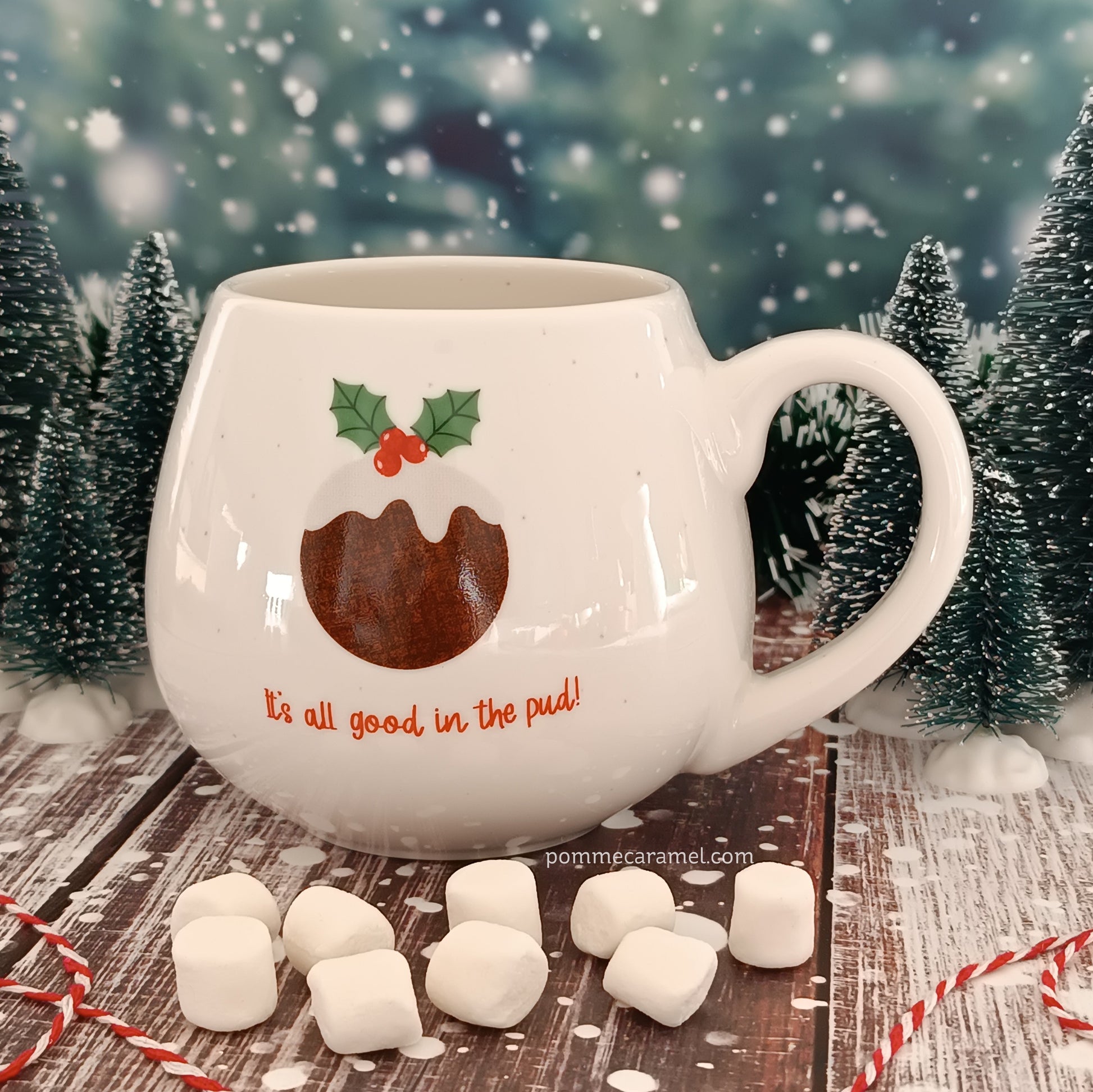 Mug Pudding de Noël Something Different Wholesale