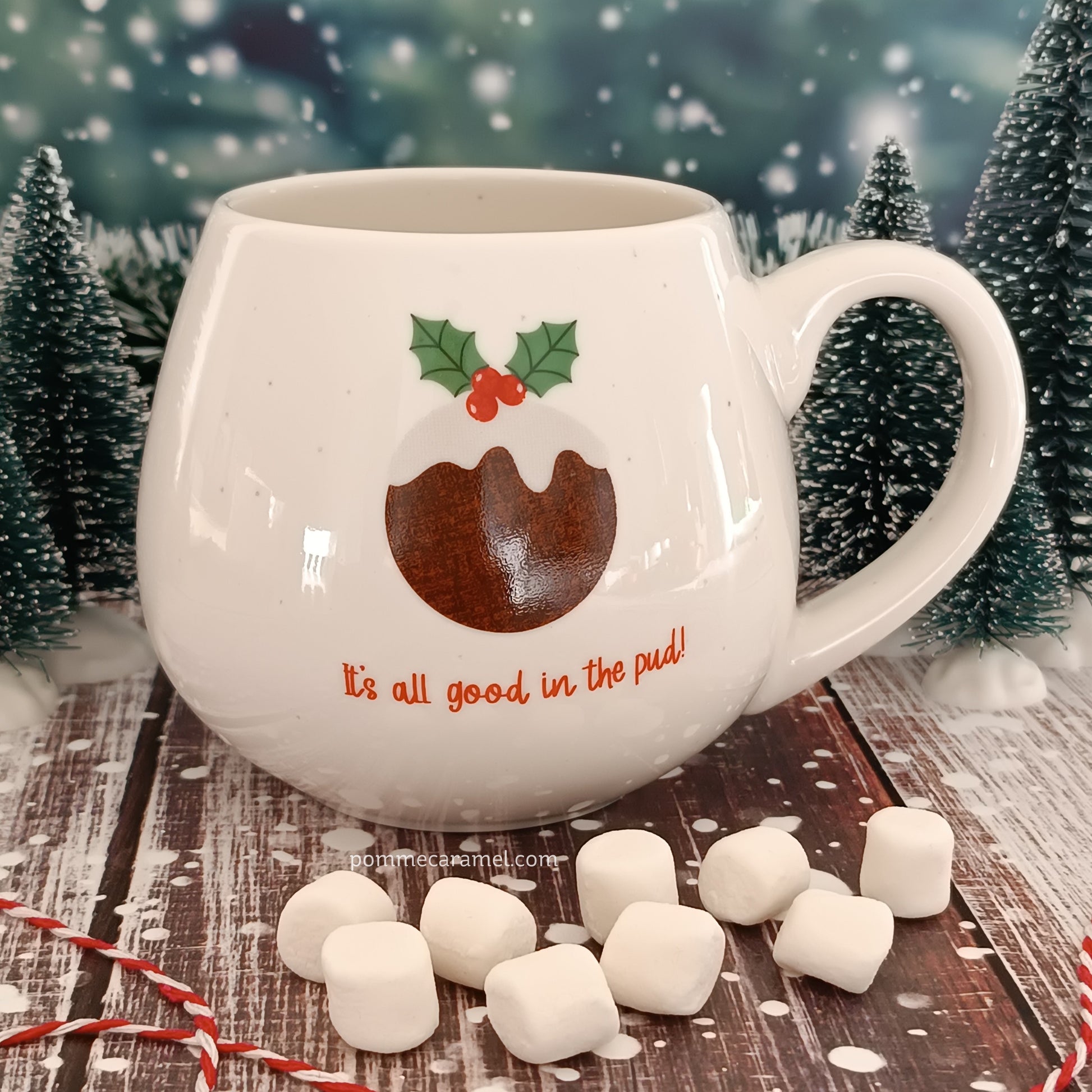 Mug Pudding de Noël Something Different Wholesale